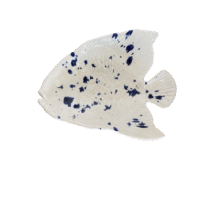 Peixe redondo