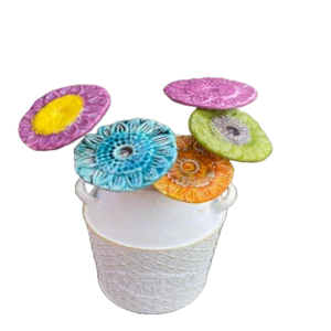 Gerberas