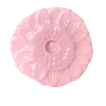 Girassol Rosa