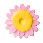 Girassol Rosa e Amarelo