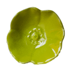 Papoila Verde
