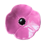 Papoila Rosa e preta
